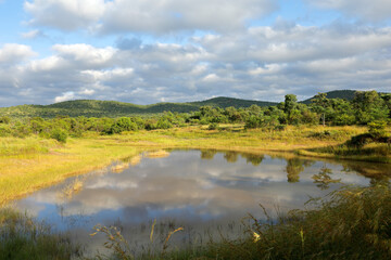 Fototapeta na wymiar Scenic water pond in African savannah landscape, South Africa.