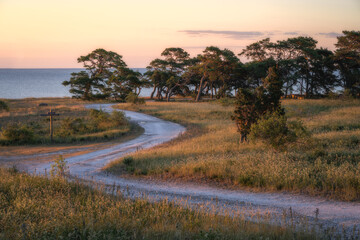 Walking down the Gravel Road