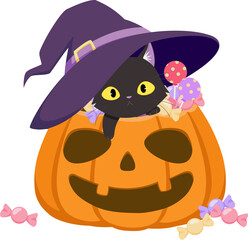 Cute Black Cat in the pumpkin basket with many candy. Wizard hat cover the pumpkin.