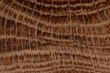 Texture of old wood close-up. Can be used as a background.