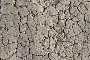 dry cracked soil, drought and famine concept, background