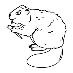 isolated image of a beaver. Cute forest animals in cartoon style. outline image