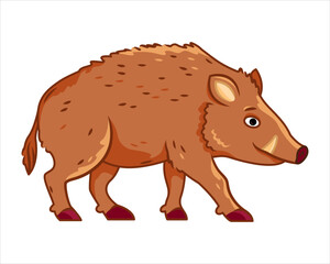 Cute boar stands on a white background. Vector illustration with cute forest animals