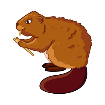 isolated image of a beaver. Cute forest animals in cartoon style.