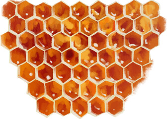 Honeycomb watercolor color vector drawing. Honey theme. 