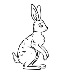 cute hares are sitting on a white background. Vector illustration with cute forest animals outline image