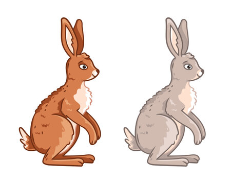 cute hares are sitting on a white background. Vector illustration with cute forest animals