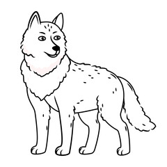 a gray wolf stands on a white background. contour image. Vector illustration with cute forest animals