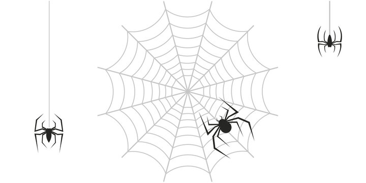 Spiders and web overlay halloween spooky transparent
