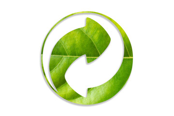 recycling icon made from green leaves, on a white background, concept of recycling, Ecology and...