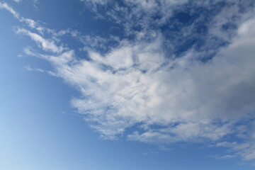 A cloud with a rhinoceros horn slowly floats across the sky. Background, wallpaper for designers