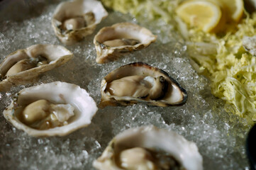 Oyster bar