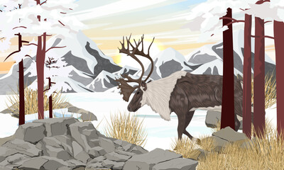 A caribou with big horns walks through a snow-covered mountain valley. Reindeer in winter. Realistic vector landscape