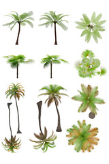 Pack of PNG vegetation. +6K. Tropical plants. Made from 3D model for compositing