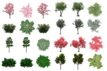 Pack of PNG vegetation. +6K. Generic Bushes Made from 3D model for compositing