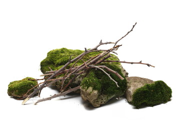 Decorative dry branches and rocks with green moss, wood for campfire isolated on white  