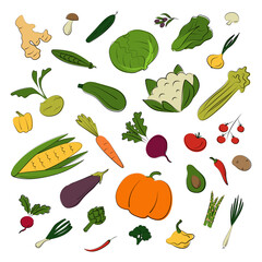 Vegetable set. Vector flat illustration. Vegetarian concept