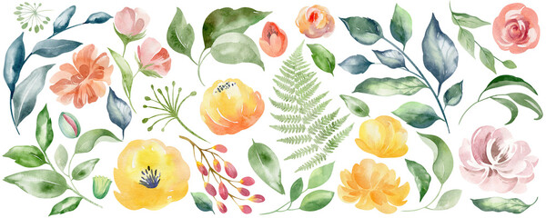 Set of watercolor floral illustrations PNG. Flower, green leaves elements collection - for bouquets, wreaths, compositions, wedding invitations, anniversaries, birthdays, postcards, congratulations.