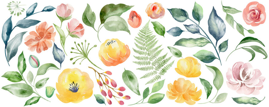 Set Of Watercolor Floral Illustrations PNG. Flower, Green Leaves Elements Collection - For Bouquets, Wreaths, Compositions, Wedding Invitations, Anniversaries, Birthdays, Postcards, Congratulations.