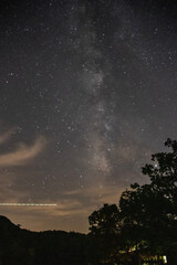 Obraz na płótnie Canvas Milky Way with Tree in foreground