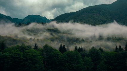 Mystical, magical landscape: mountains covered with forest, in low foggy clouds, like the cover of a dark fairy tale, thriller