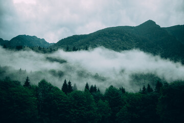 Mystical, magical landscape: mountains covered with forest, in low foggy clouds, like the cover of a dark fairy tale, thriller