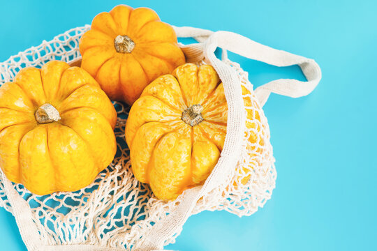 Pumpkins on blue background.vegetable fall food concept.Minimalist style.Various of pumpkins in a mesh bag of fabric on blue backgroundAutumn vegetables.Composition of different varieties of pumpkins.