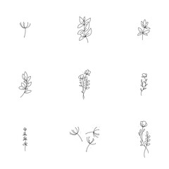Black and white contoured simple minimalistic elegant flowers set
