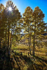 Fall Season in Colorado