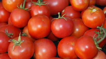 Ripe fruits of red tomatoes. Background composition, texture.Top view