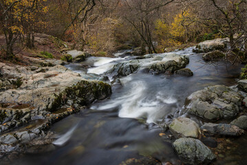 Stunning vibrant landscape image of Aira Force Upper Falls in Lake District during colorful Autumn showing