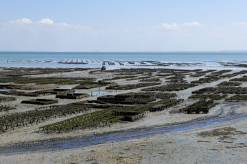 ferme ostréicole