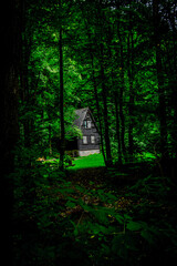 DoDrewniany domek w lasku © Piotr Gancarczyk