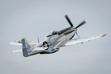 The incredible P-51 Mustang at the Stuart Air Show - obrazy, fototapety, plakaty