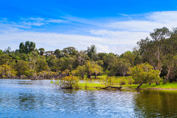 Fototapeta premium Beautiful landscape with a tropical lake