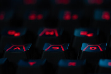 WSAD - red 3 © petsch