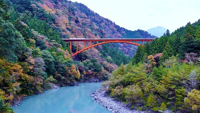 大井川鐵道井川線から見える紅葉と陸橋