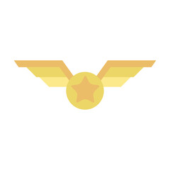 star pilot badge vector symbol sign © valvectors