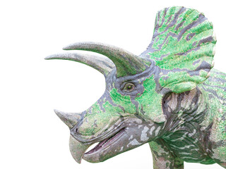 triceratops on white background © DM7