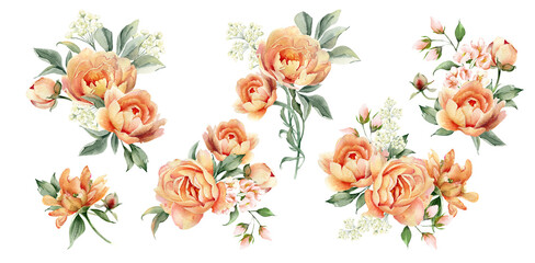 Watercolor flowers bouquet clipart. Peach peony arrangement. Floral illustration set isolated jn white background. Perfect for card design, wedding invitation, fabric, home decoration 