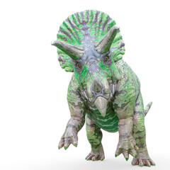 triceratops attacking on white background © DM7