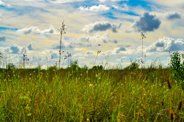 Coastal grass and interesting cloudy sky looking northwest from southwest tip of Ono Island, Orange Beach, Alabama