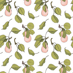 Vector pink pears and leaves pattern. Seamless fruit background. Juicy pears with green leaves.