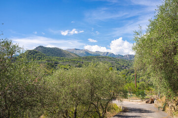 Fototapeta na wymiar Panorama of the green mountains surrounding the village of Olivetta (Province of Imperia, Ligurian Region, Northern Italy). Located near the Italian-French borders, where a fine olive oil is produced.