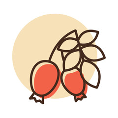 Rose hip berries and leaves vector isolated icon