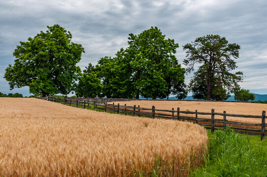 Farmfields of Antietam National Battlefield, Maryland USA, Sharpsburg, Maryland