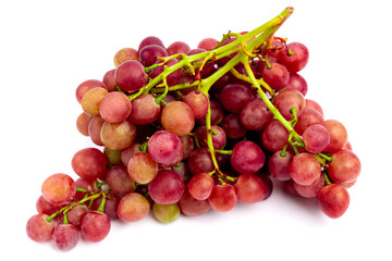 Red grapes freshly picked from the vineyard in autumn. Grapes isolated on white background