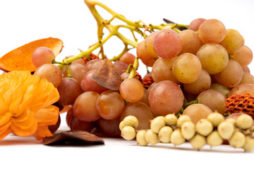 Red grapes freshly picked from the vineyard in autumn. Grapes isolated on white background