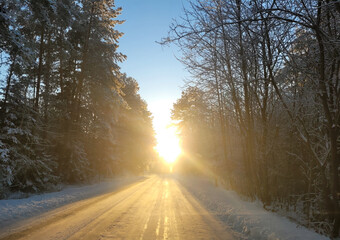 Zima, słońce oświetla ośnieżoną drogę.