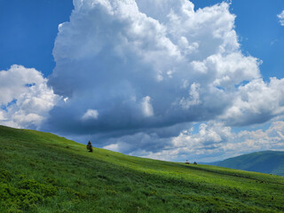 Duża chmura nad zielonymi górami (Połonina Wetlińska) - obrazy, fototapety, plakaty